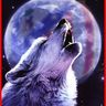 Фото профиля Aron Wolf