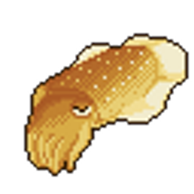 asaha🦑6/7ｺﾐﾃｨｱN42a's profile picture
