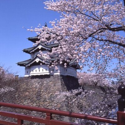 hirosaki_promo's profile picture