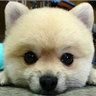空话说尽坏事做绝's profile picture