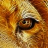wambuindungu's profile picture