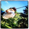Profilbild von Mark Cowles
