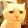 哆啦Tube's profile picture