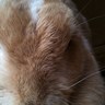 mmm's profile picture