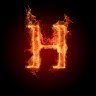 Profilbild von Haseen Rahman