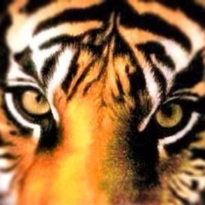TxsuProud's profile picture