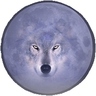 Lilac Moon 的头像