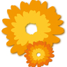 良縁団長 profil fotoğrafı
