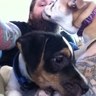 Dirtbag Steve's profile picture