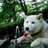 Profilbild von 승상육손