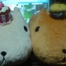 かっぴー's profile picture
