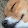 Profilbild von Athena