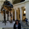 Alicia Heckathorne's profile picture
