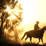 Arb Cowboy's profile picture