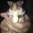 Raymond's profile picture