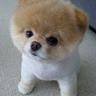 Дмитрий's profile picture