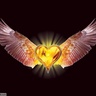 $$ علي $$👍's profile picture