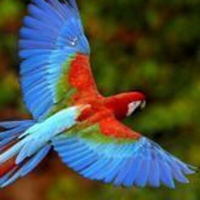 zolangegonzalez's profile picture