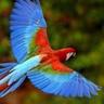 Zolange Gonzalez's profile picture