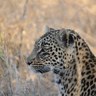 Фото профиля Judy Tomkinson