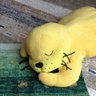 サトキ 的头像