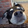 whattup's profile picture