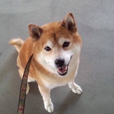 dinahasegawa's profile picture