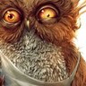 DumpTrump profil fotoğrafı