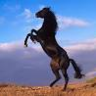 النايف profil fotoğrafı
