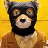 Profilbild von Zorrito furious