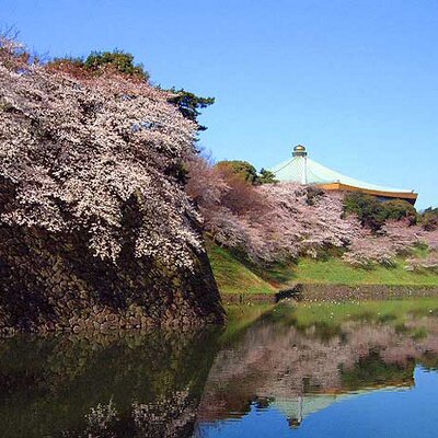 千代田遺産's profile picture