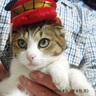 にゃん太 的头像