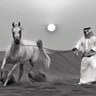 Profilbild von ابو مشعل