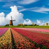 DutchSpace 的头像