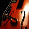 MELLOW CELLO's profile picture