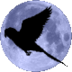 Secret of Budgegeria - @budgegeria@birdon.social's profile picture