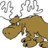 THE MOOSE's profile picture