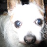 Profilbild von John
