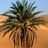 عبدالله ★ profil fotoğrafı