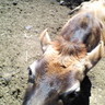 小山 農's profile picture