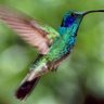 Фото профиля ceciliacastrome