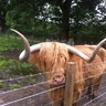 Russell's profile picture