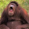 jiri douda's profile picture