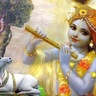 Фото профиля Fallen Bhakta