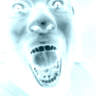zé do arroto's profile picture