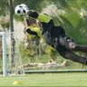 saidoranje profil fotoฤrafฤฑ