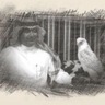 Фото профиля عبدالحميد الدرسـوني