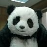 Profilbild von asabi panda