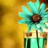تركوازية profil fotoğrafı