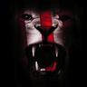 Mario Katuska's profile picture
